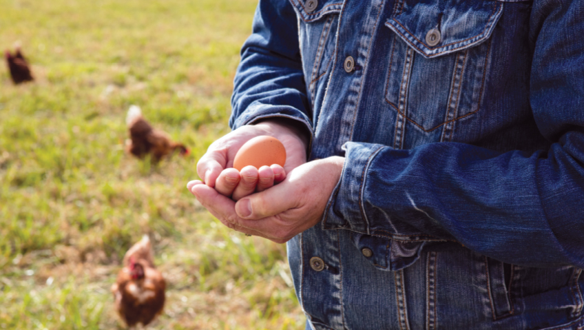 2021 | March 2021Good Eggs: Treating Chickens With KindnessEgg Innovations