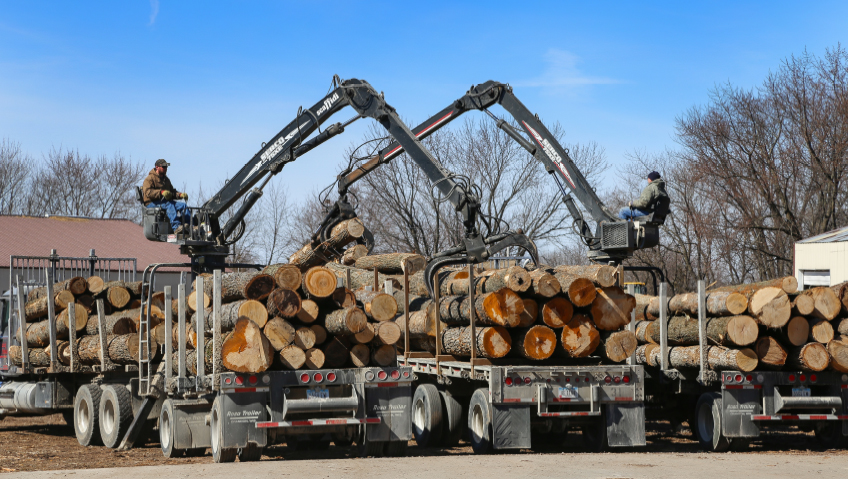 2022 | April 2022 | National Hardwood Lumber AssociationFrom Logs to Cabinets and Beyond – A Family-Owned Success StoryKendrick Forest Products (KFP)