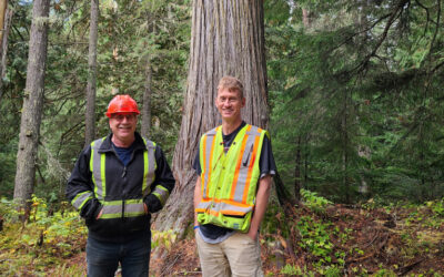 The Gorman Edge: Celebrating 70+ Years of Producing the Finest BoardsGorman Bros. Lumber Ltd.