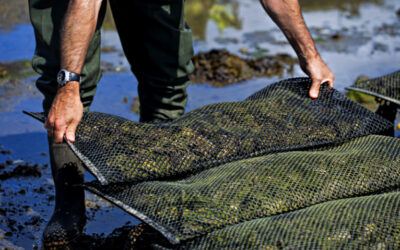 Fishing to Feed the WorldThe Advantages of Aquaculture